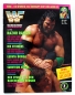 Preview: WWF (World Wrestling Federation) Magazin Nr. 12 (1993): Doink - ein Interview, das überhaupt nicht zum Lachen ist von Dino